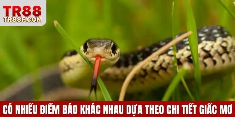Mơ Thấy Rắn Là Điềm Gì? Giải Mã & Con Số May Mắn Cụ Thể