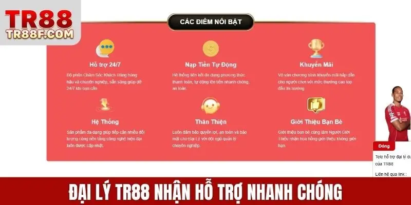 Đại Lý TR88 - Cơ Hội Hợp Tác Sinh Lợi Bền Vững Hoa Hồng 80%