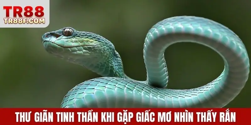 Mơ Thấy Rắn Là Điềm Gì? Giải Mã & Con Số May Mắn Cụ Thể